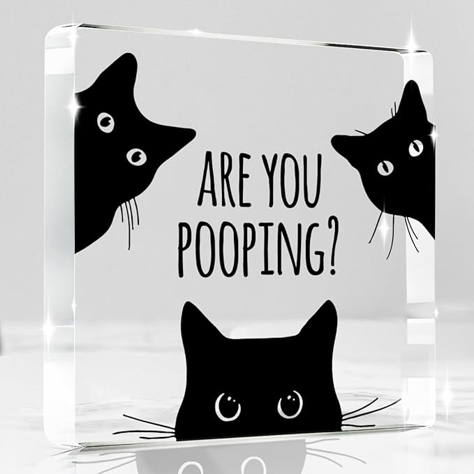 Are You Pooping Funny Sign，Black Cat Decor, Cat Bathroom Acrylic Decor，Home Decor Bathroom Creative Gift For Women Men，Funny Decorate Retro for Home Toilet 4x4 Inches