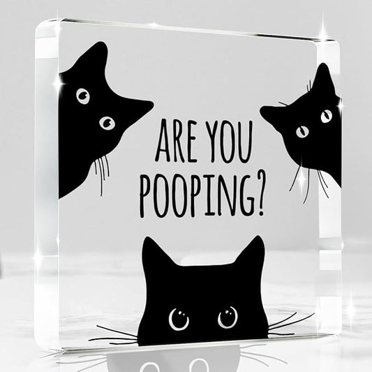 Are You Pooping Funny Sign，Black Cat Decor, Cat Bathroom Acrylic Decor，Home Decor Bathroom Creative Gift For Women Men，Funny Decorate Retro for Home Toilet 4x4 Inches