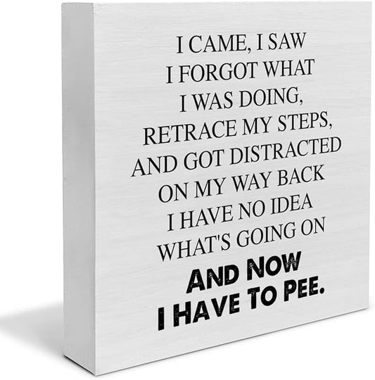 Country I Came I Saw I Forgot Sayings Wood Box Sign Decor Desk Sign Funny Wooden Box Block Sign Home Office Shelf Wall Decoration