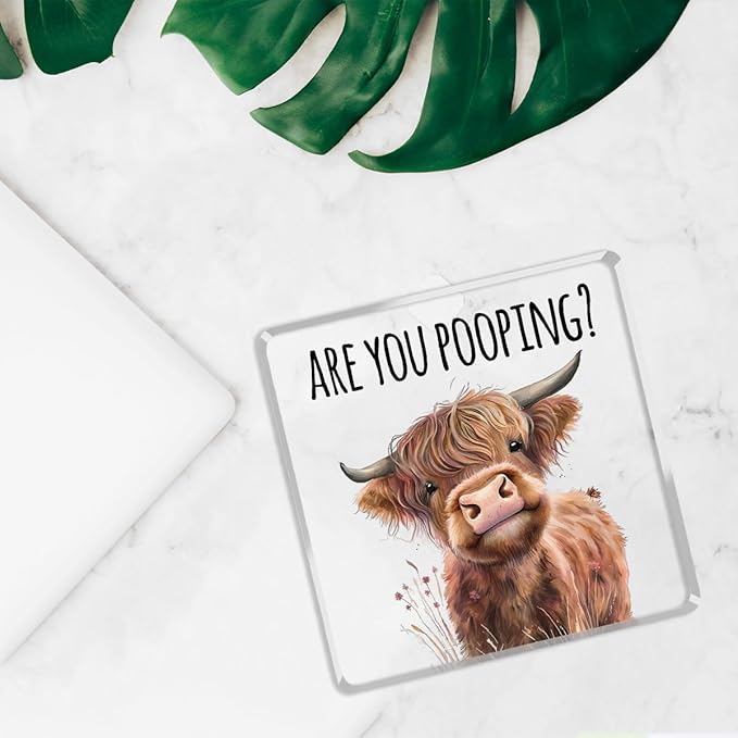 Highland Cow Bathroom Decor Gifts,Are You Pooping Funny Acrylic Sign Bathroom Decor for Western & Highland Cow Lovers Gifts for Coworker, Friends, Boss, Men, Women 4x4 Inch