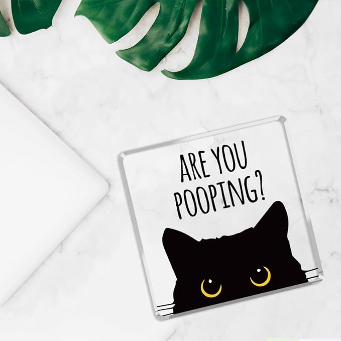 Are You Pooping Funny Sign，Black Cat Decor， Cat Bathroom Decor，Home Decor Bathroom Acrylic Creative Gift Cat Gifts for Women Cat Lovers，Funny Decorate Retro for Home Toilet 4x4 Inches