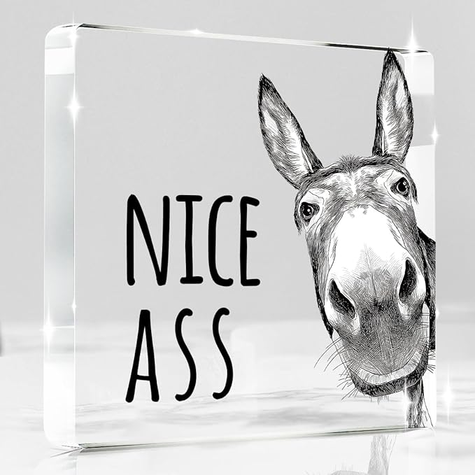 Funny Donkey Animal Prints Toilet Room Decor - Nice Ass Quotes Bathroom Acrylic Sign,Funny Bathroom Decor for Toilet Restroom Washroom Donkey Accessories 4x4 Inch