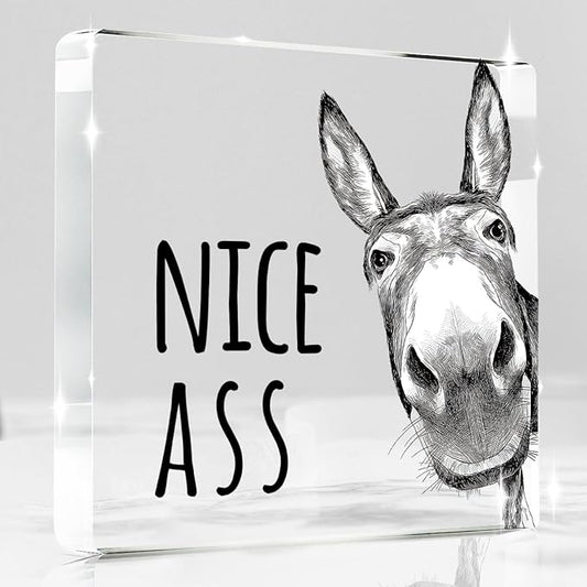 Funny Donkey Animal Prints Toilet Room Decor - Nice Ass Quotes Bathroom Acrylic Sign,Funny Bathroom Decor for Toilet Restroom Washroom Donkey Accessories 4x4 Inch