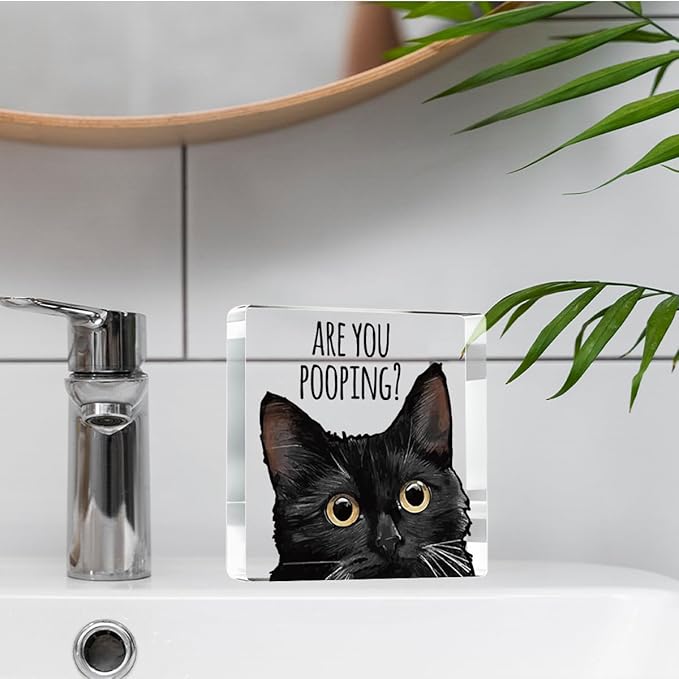 Are You Pooping Funny Sign，Black Cat Decor, Cat Bathroom Acrylic Decor，Home Decor Bathroom Creative Gift Cat Gifts for Women Cat Lovers，Funny Decorate Retro for Home Toilet