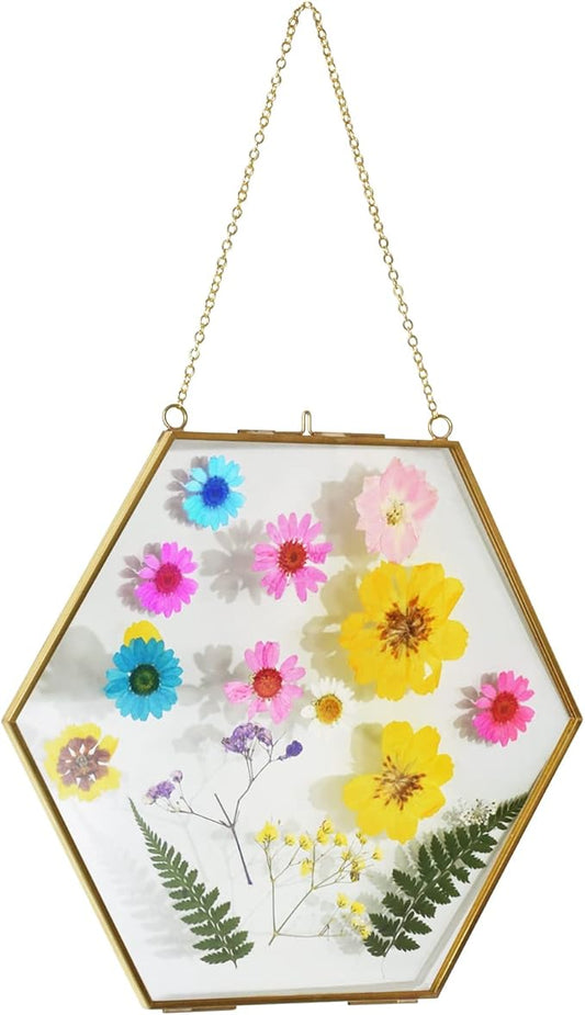 TLBTEK Brass Hanging Photo Frame,9.5 Inch Hexagon Glass Frame for Pressed Flowers,Clear DIY Vintage Artwork Display Frame Wall Mounted Photos Frame