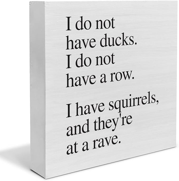 Country Sarcastic Wood Box Sign Decor Desk Sign I Do Not Have Ducks Quote Wooden Box Block Sign Rustic Home Office Shelf Wall Decoration