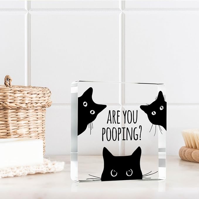 Are You Pooping Funny Sign，Black Cat Decor, Cat Bathroom Acrylic Decor，Home Decor Bathroom Creative Gift For Women Men，Funny Decorate Retro for Home Toilet 4x4 Inches