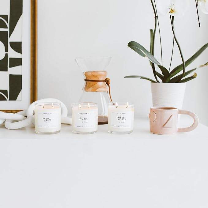 Calyan Wax Co. 2 Wick Candle, Desert + Agave Scented Candle, 37 Hour Burn Time, Aromatherapy Soy Candles, Non Toxic & Vegan Soy Wax, Glass Tumbler Scented Candles, 8.8oz