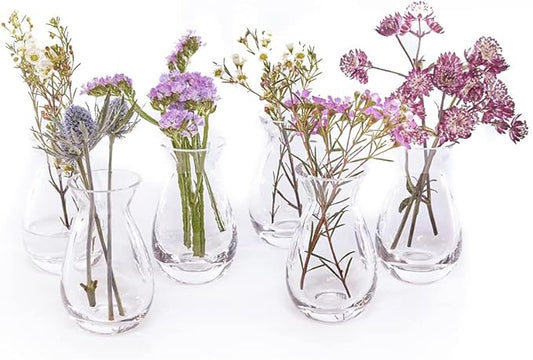 CHIVE ‘George’ Glass Bottle Flower Vases — Set of 6 — Small, Elegant Clear Glass Bud Vases — Bulk Pack for Home Decor & Table Centerpieces — Shape 2 (Oval, 5" Tall, 2.5" Wide)
