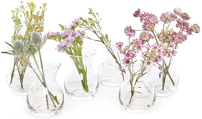 CHIVE ‘George’ Glass Bottle Flower Vases — Set of 6 — Small, Elegant Clear Glass Bud Vases — Bulk Pack for Home Decor & Table Centerpieces — Shape 4 (Oval, 4” Tall, 3” Wide)