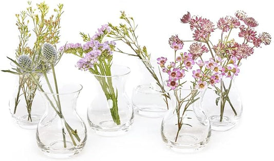 CHIVE ‘George’ Glass Bottle Flower Vases — Set of 6 — Small, Elegant Clear Glass Bud Vases — Bulk Pack for Home Decor & Table Centerpieces — Shape 4 (Oval, 4” Tall, 3” Wide)