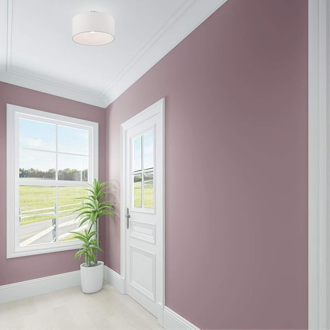 Livex Lighting 1 Lt Brushed Nickel Ceiling Mount