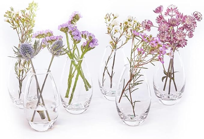 CHIVE ‘George’ Glass Bottle Flower Vases — Set of 6 — Small, Elegant Clear Glass Bud Vases — Bulk Pack for Home Decor & Table Centerpieces — Shape 5 (Oval, 5” Tall, 2.5” Wide)
