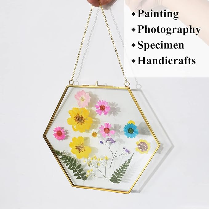 TLBTEK Brass Hanging Photo Frame,9.5 Inch Hexagon Glass Frame for Pressed Flowers,Clear DIY Vintage Artwork Display Frame Wall Mounted Photos Frame