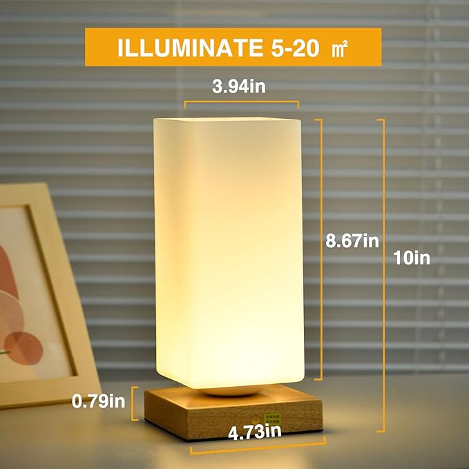 Vase Table Lamp Rechargeable Touch Lamp Dimmable 3 Colors Flower Lamp Bedside Lamp Frosted Glass Shade with Wood Base