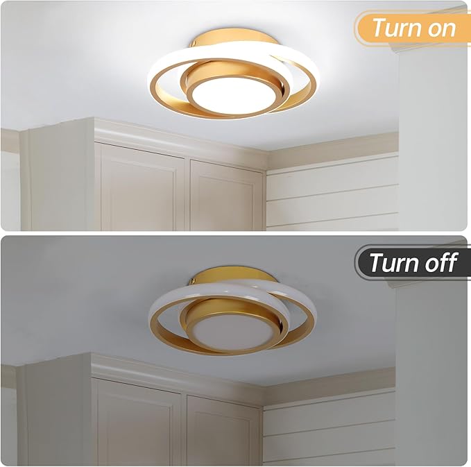 CANEOE Small Modern LED Ceiling Light, Gold Round Hallway Light Fixtures Ceilings, Indoor Ceiling Lamp Fixtures for Hallway Living Room Bedroom Kitchen Office Lighting Fixture