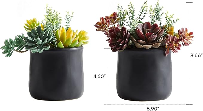 Artificial Succulents in Ceramic Pots 2 Pcs Large Fake Plants Matte Black Decor, for Desk, Bedroom, Living Room, Bathroom, Office, Bookshelf, Home Faux Decoration