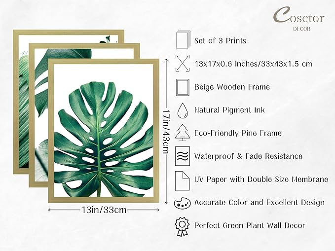COSCTOR Set of 3 Botanical Wall Art Bathroom Wall Decor Green Plant Picture Monstera Frame Tropical Posters Prints for Home Living Room Bedroom Restroom Decoration(Framed,12x16)