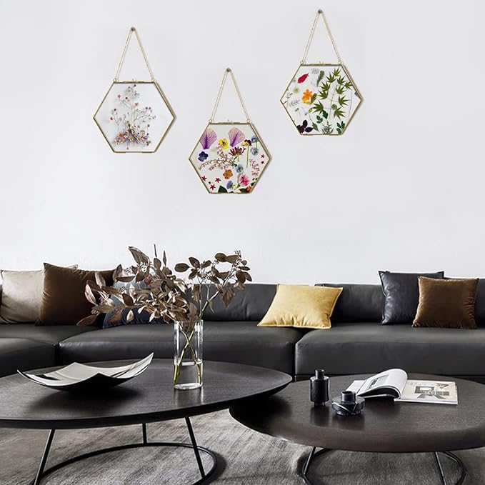 TLBTEK Brass Hanging Photo Frame,9.5 Inch Hexagon Glass Frame for Pressed Flowers,Clear DIY Vintage Artwork Display Frame Wall Mounted Photos Frame