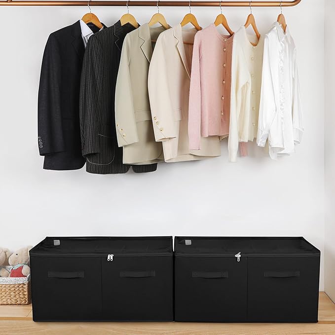 Shoe Organizer for Closet 2 Pack, Foldable Shoe Box with Adjustable Divider and Clear Cover, Space Saving Shoe Storage Organizer Cabinet with Reinforced Handles, Fits 40 Pair, Black, TP11B