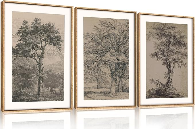 KAIRNE Vintage Tree Sketch Wall Art Set, Antique Tree Drawings Wall Decor, Nature Sketch Wall Painting, Framed Botanical Canvas Art Prints for Living Room, Bedroom, Dinning Room, Farmhouse - 16"x24"x3