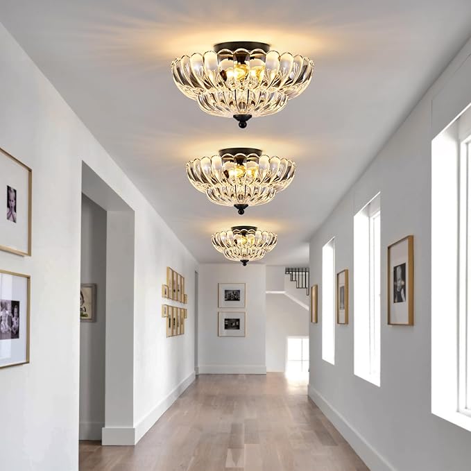 Modern Black Ceiling Light Fixture, 12" Clear Glass Flush Mount Chandeliers, Semi Flush Mount Ceiling Light Fixture Suitable for Living Room Hallway Kitchen Bedroom