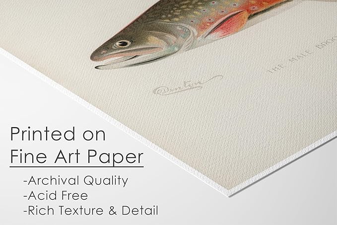 Vintage Fish Wall Art Prints (Set of 6) - Unframed - 8x10s | Fishing Dcor | Vintage Decor | Kitchen Wall Art | Kitchen Wall Decor