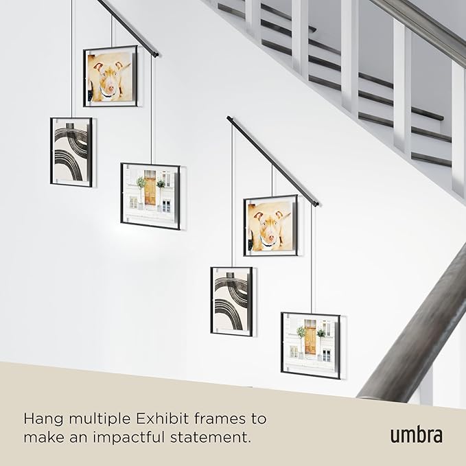 Umbra Exhibit Wall Frame with Metal Rod for Hanging-Rimless Design-Suitable for Living Room, Bathroom, Bedroom, Entryway and More, Black