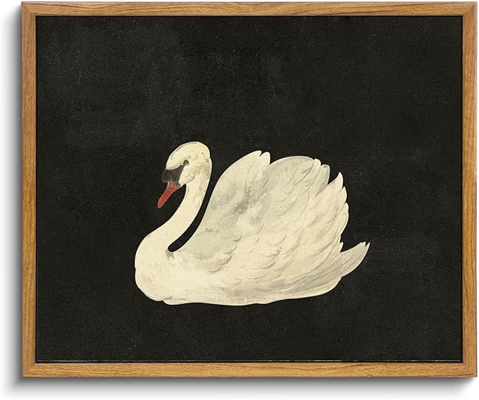 KBKBART Framed Wall Art for Living Room, Swan Art Canvas Prints, Vintage Home Decor, Animal Oil Painting Picture, Bathroom Wall Decor Gifts for Friends or Family(8"x10")