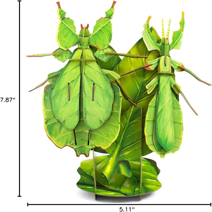 3D Paper Puzzle, Eco-Friendly Educational Learning Puzzles for Kids 7years+