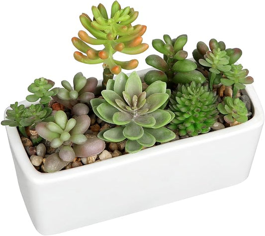 Artificial Succulents Plants in White Ceramic Planter Assorted Fake Plant in Pots Arrangement Fake Succulent Potted Plant for Home Office Desk Bathroom Shelf Living Room Indoor Outdoor Decor