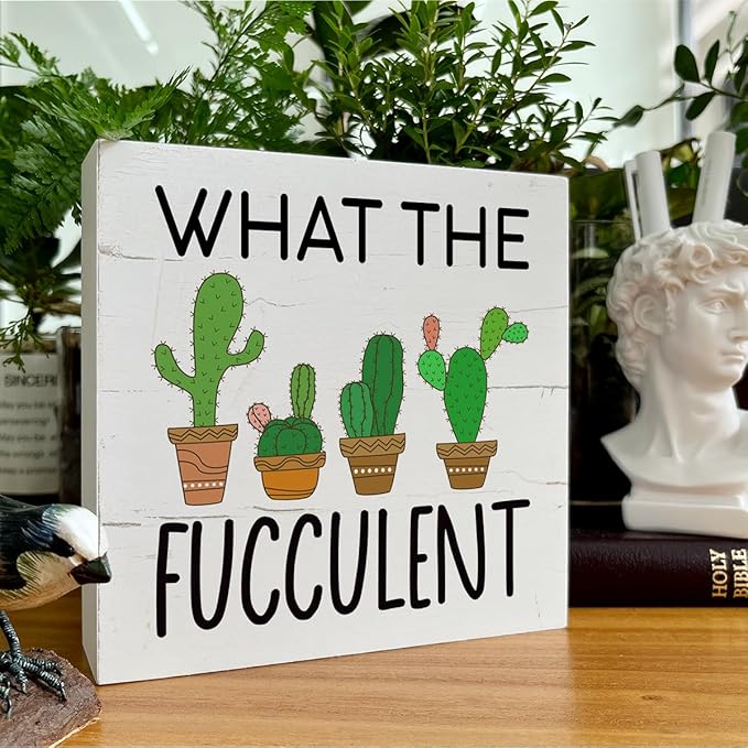 What the Fucculent Sign, Plant Decor, Box Sign Tabletop Decor, Cactus Decor, Plant Lover Home Decor, Greenery Office Decor, Office Desk Sign, Farmhouse Decor for Shelf, White Wooden Box Sign