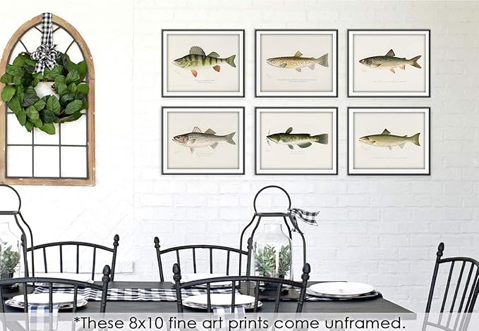 Fish Wall Art Prints (Set of 6) - Unframed - 8x10s | Vintage Fishing Decor - Reproductions of Vintage Fish Drawings - Midwest Fish Species - Great Gift for Fisherman