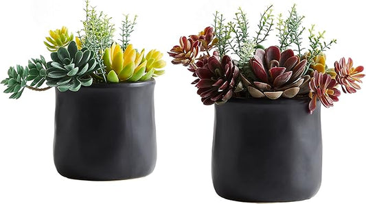 Artificial Succulents in Ceramic Pots 2 Pcs Large Fake Plants Matte Black Decor, for Desk, Bedroom, Living Room, Bathroom, Office, Bookshelf, Home Faux Decoration