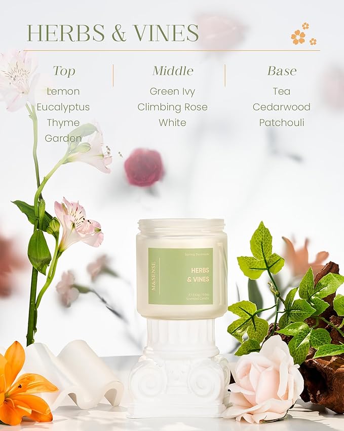 M&SENSE Fresh Herbal Scented Candle - 11.6oz Organic Natural Soy Wax Non Toixc 70-Hour Long Lasting Burn Time, 2 Wick Eucalyptus Candle for Home Decor Housewarming Gifts for Men & Women