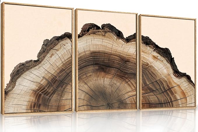 KAIRNE Framed Tree Ring Wall Art Set, Retro Wood Stump Wall Decor, Tree Spiral Wall Painting, Modern Nature Canvas Art Prints for Living Room, Bedroom, Dinning Room, Farmhouse - Large 24"x36"x3