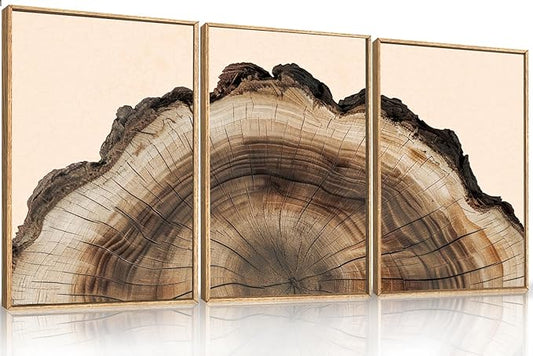 KAIRNE Framed Tree Ring Wall Art Set, Retro Wood Stump Wall Decor, Tree Spiral Wall Painting, Modern Nature Canvas Art Prints for Living Room, Bedroom, Dinning Room, Farmhouse - Large 24"x36"x3