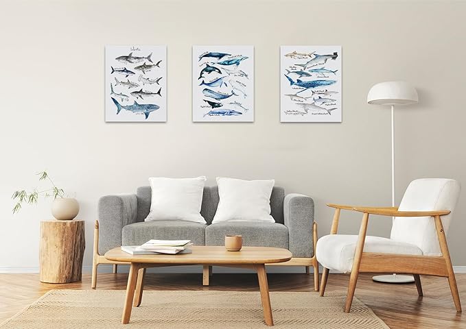 NOGRIT Shark Wall Art Set of 3, 1114 Inch, Classroom & Dorm Decor, Gift for Shark Lovers