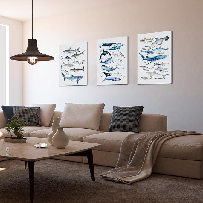 NOGRIT Shark Wall Art Set of 3, 1114 Inch, Classroom & Dorm Decor, Gift for Shark Lovers