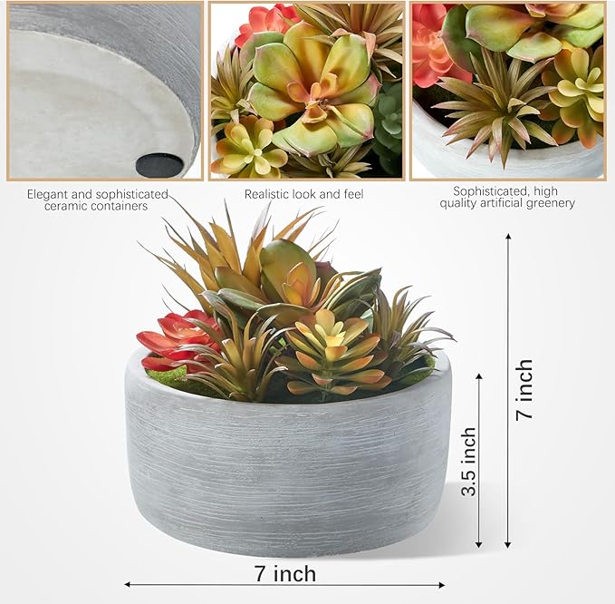 Artificial Succulent Plants Potted Indoor with Ceramic Pot - Fake Low Maintenance Plants for Bedroom, Bathroom, Coffee Table Decor - Home Office Desk & Room Aesthetics