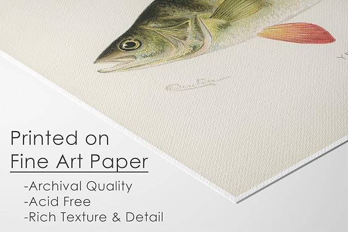 Fish Wall Art Prints (Set of 6) - Unframed - 11x14s | Vibrant and Captivating Oceanic Decor | Coastal-themed Wall Decor | Living Room Decor | Farmhouse Decor | Bathroom Wall Decor | Home Decor