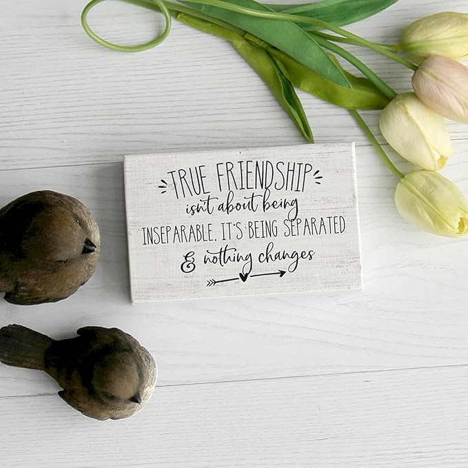 Simply Said, INC True Friendship Isn't About Being Inseparable 5.25 inch Wood Sign, Friendship Small Talk Rectangle Block Plaque, Made in USA, STR1207