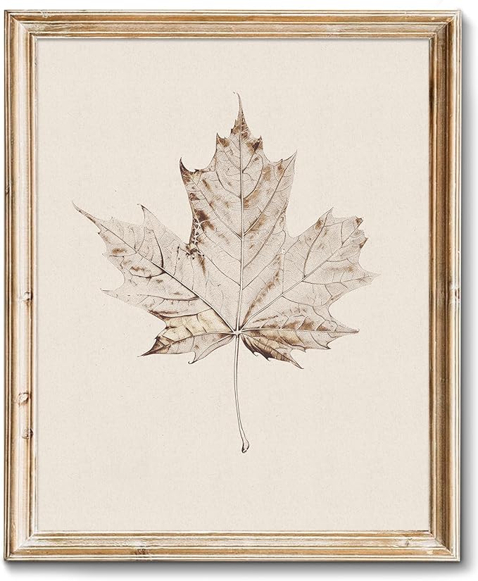 RETRART Vintage Maple Leaf Wall Art, Antique Maple Leaf Sketch Art - Botanical Drawing - Summer Farmhouse Decor, 8" x 10" Unframed Canvas Prints for Bedroom Living Room Bathroom Wall Decor