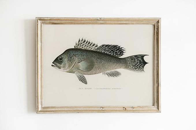 Vintage Fish Wall Art Prints (Set of 6) - Unframed - 8x10s | Fishing Dcor | Vintage Decor | Kitchen Wall Art | Kitchen Wall Decor