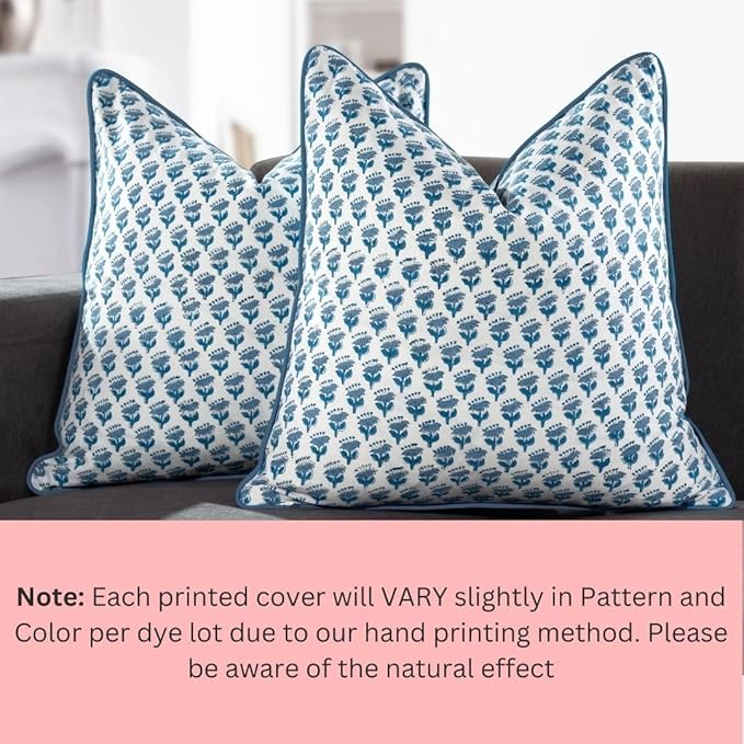 CPC 100% Cotton Throw Pillow Covers 24x24 Inch, Set of 2 Blue Block Print Pattern Couch Pillow, Cute Boho Decorative Pillows for Living Room, Bedroom with Hidden Zipper- Apatite Blue