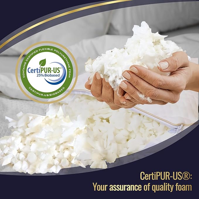 Royal Therapy 2-Pack Queen Memory Foam Pillow, Adjustable Shredded Odor-Free Pillow for Neck & Shoulder Pain Relief, Support for Back, Stomach, Side Sleepers, AirFlowPRO