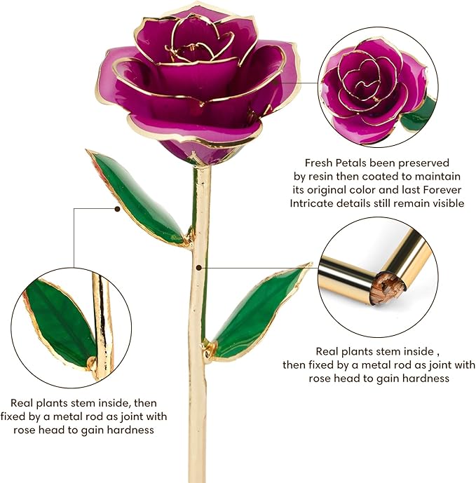 Gold Dipped Infinity Rose Last Forever Flower Decor, Birthday Gift for Women in Her Birthday Mothers Day, Resin Preserved Rose | Anniversary Present for Mom (Purple)