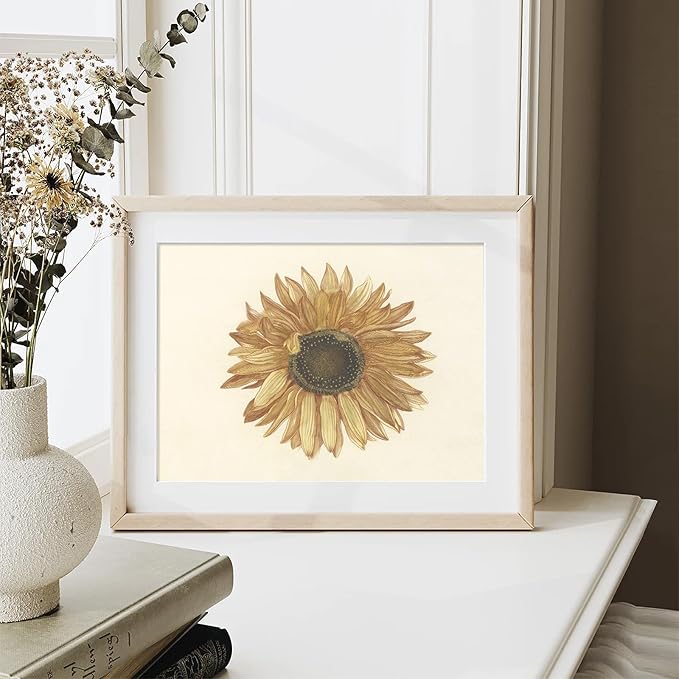RETRART Vintage Sunflower Wall Art, Antique Sunflower Sketch Art - Botanical Drawing - Summer Farmhouse Decor, 8" x 10" Unframed Canvas Prints for Bedroom Living Room Bathroom Wall Decor