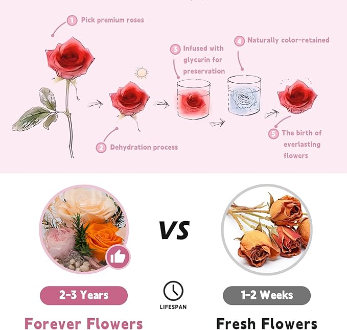 Eternal Flowers for Decoration: Preserved Flowers in Glass Dome, Unique Forever Flowers Gift for Her BBF – Perfect Decorative Flowers for Home Décor - Flowers for Delivery Prime (Champagne)