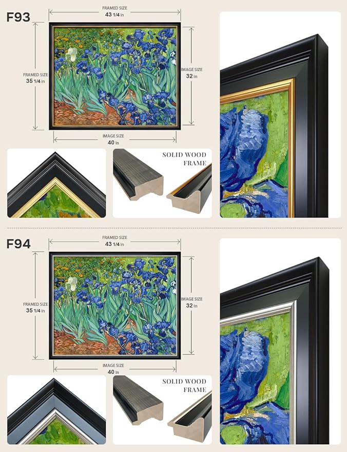 DECORARTS - Irises in the Garden by Vincent Van Gogh, Large Giclee Canvas Print with Solid Wood Frame, Oversized Wall Art Decor